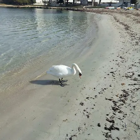 La Spiaggia * Gallipoli